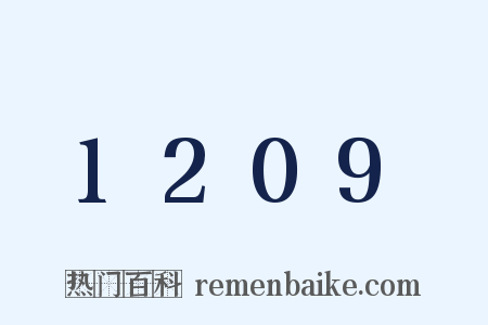1209是什么意思的图片